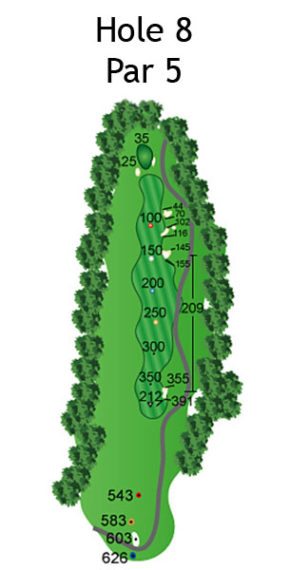 Layout of The Nightmare Hole 8